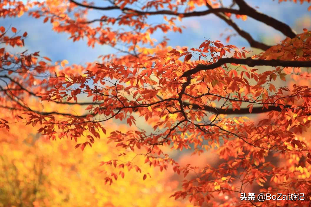 到四川巴中市旅游必去的10個(gè)景點(diǎn)，你去過(guò)幾個(gè)？最喜歡哪個(gè)景點(diǎn)？